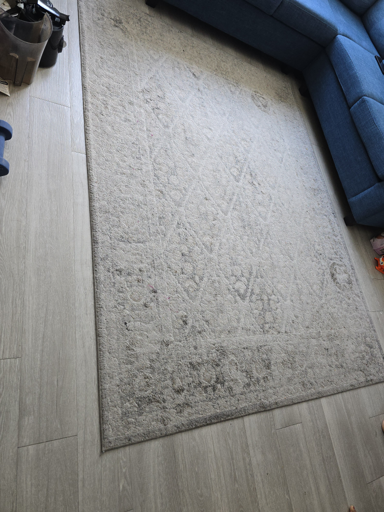 Area Rug - photo 2
