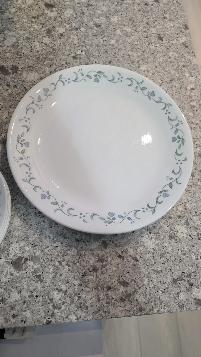 MOVING SALE, Corelle Vitrelle Dinnerware Set - photo 5