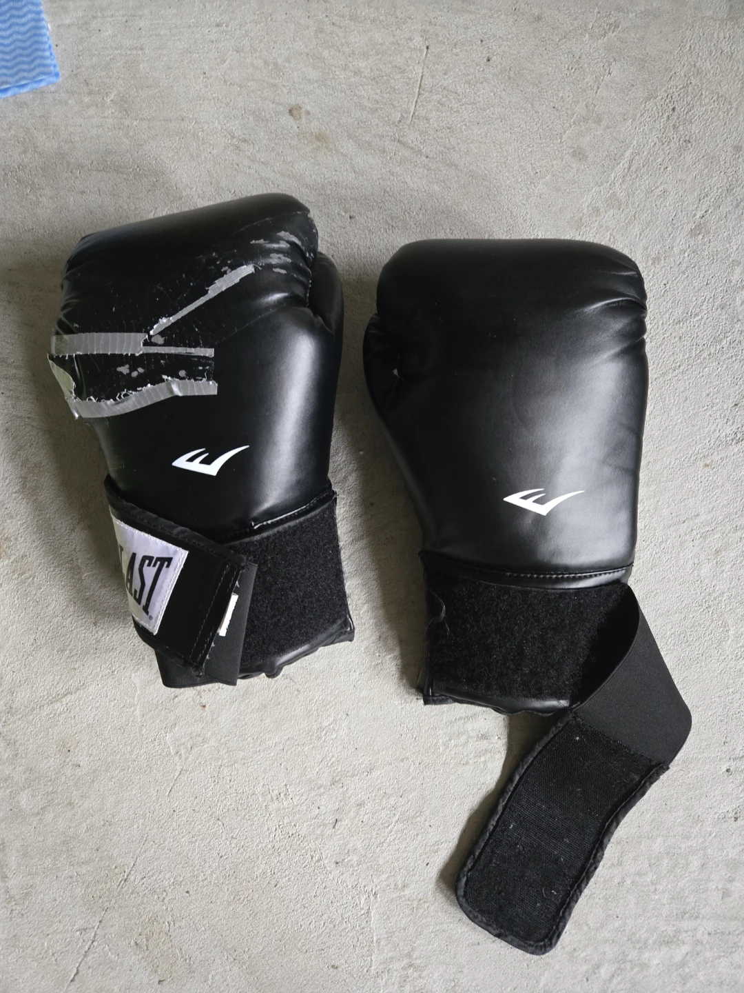 Everlast Boxing Gloves