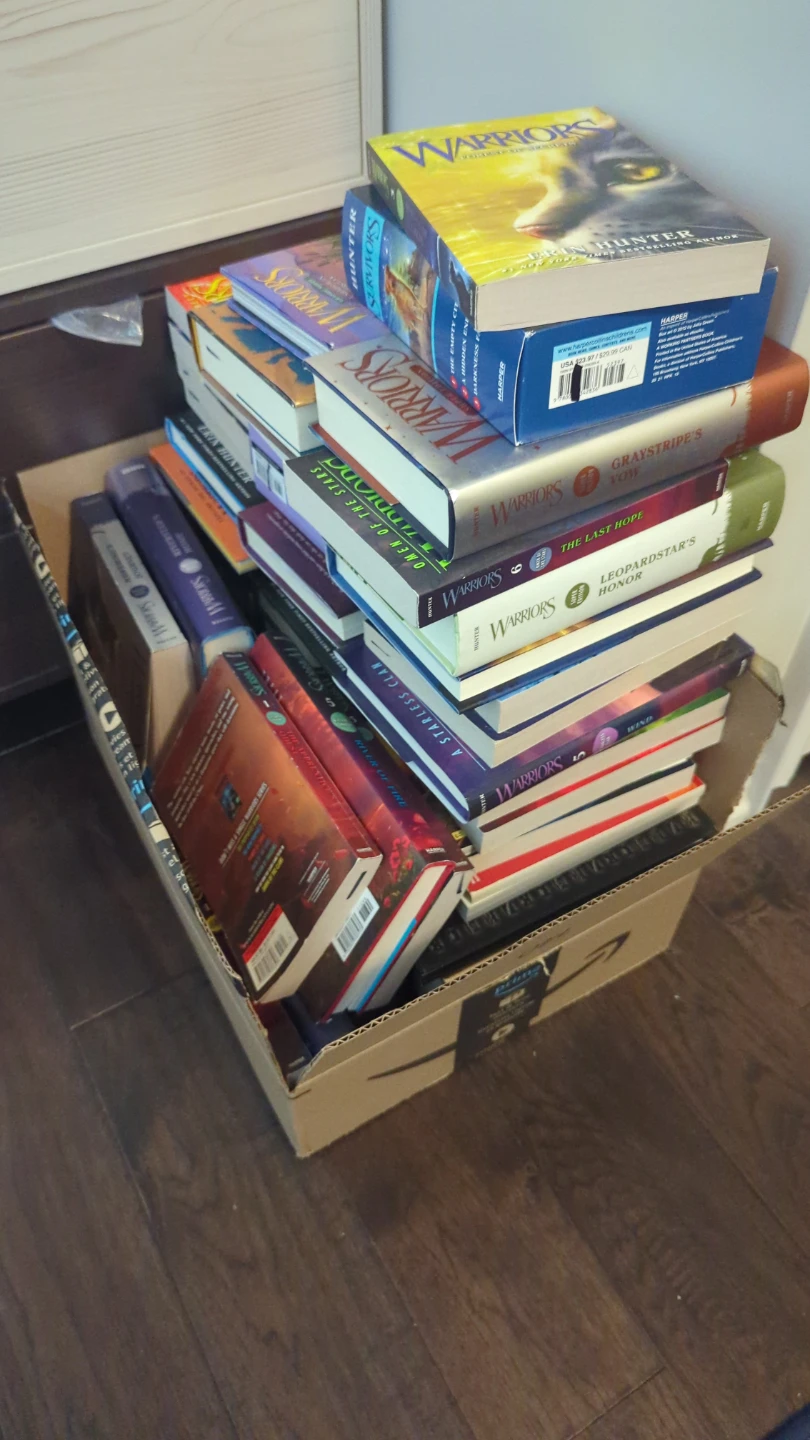 Book sale - photo 2