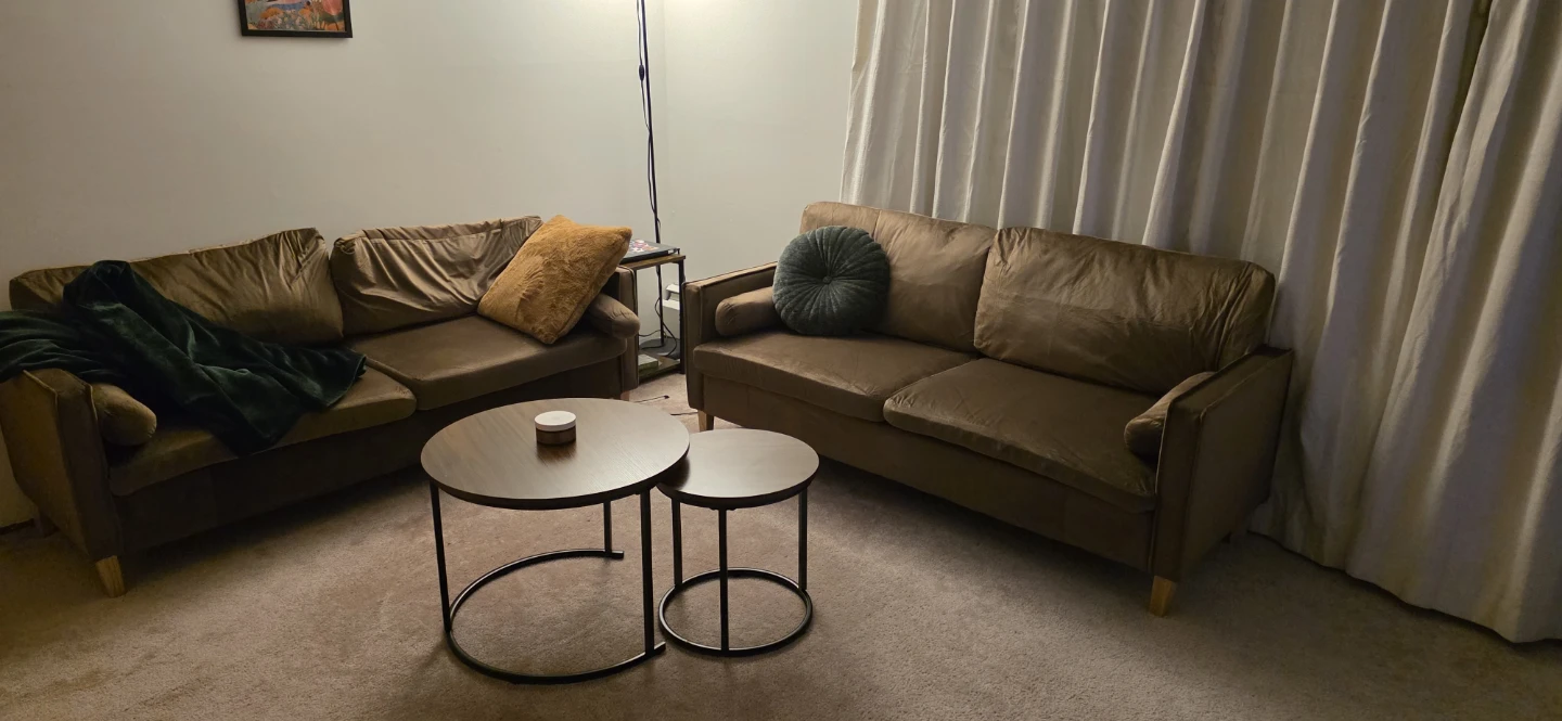 Brown Velvet Sofa (2) - photo 2
