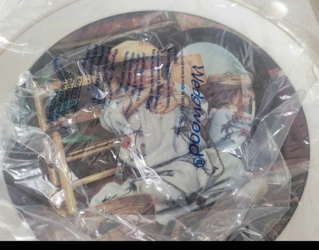 Wedgwood "Dressing Up" Collector's Plate Save the Children Fund - photo 4