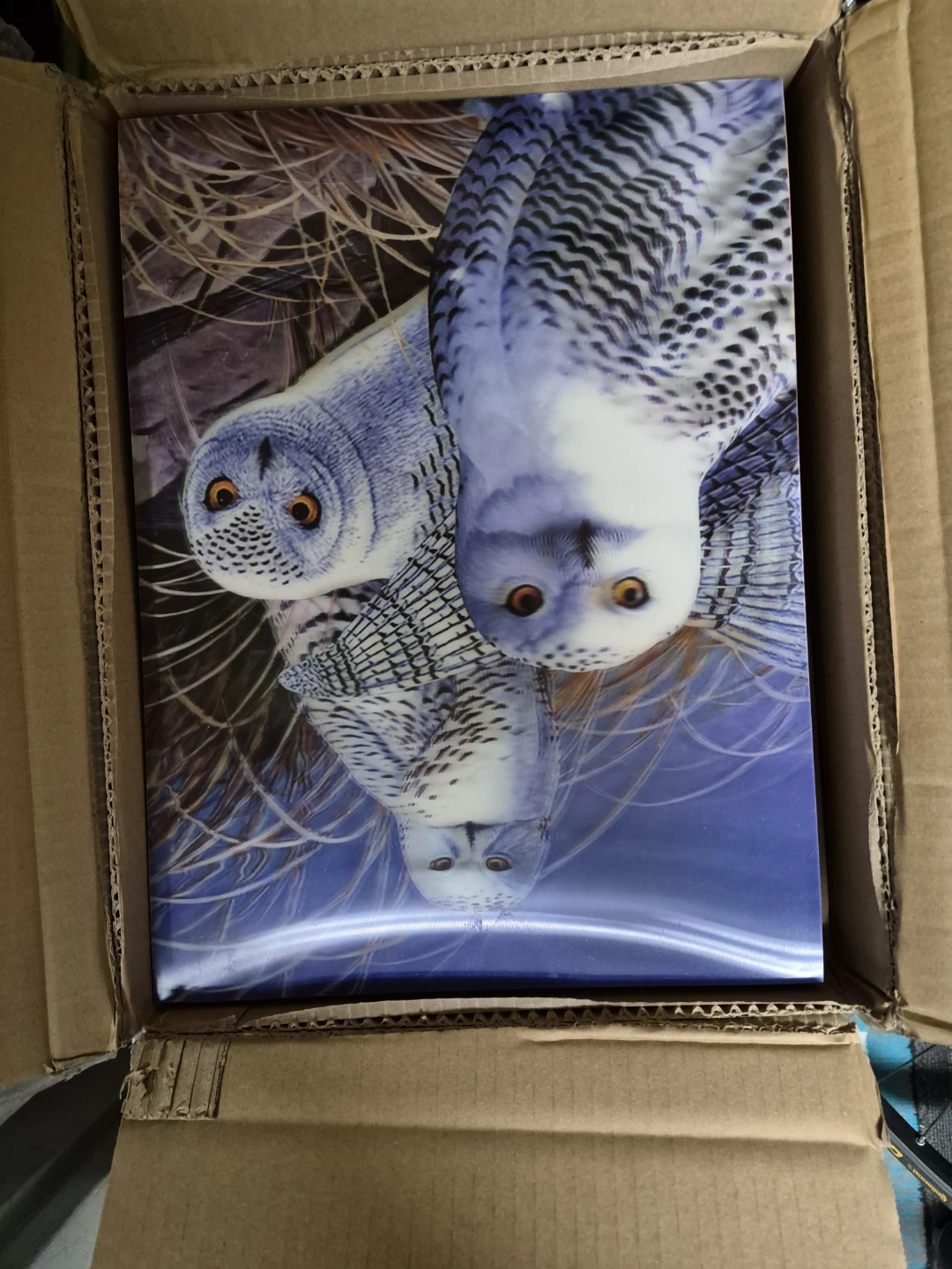 Huge lot of 3d pictures - photo 3