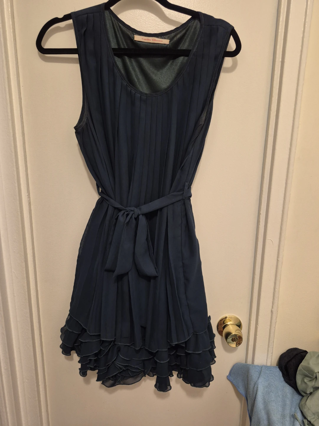 Carolina Williamson Teal Pleated Dress with Ruffle Hem ⚽ - photo 5