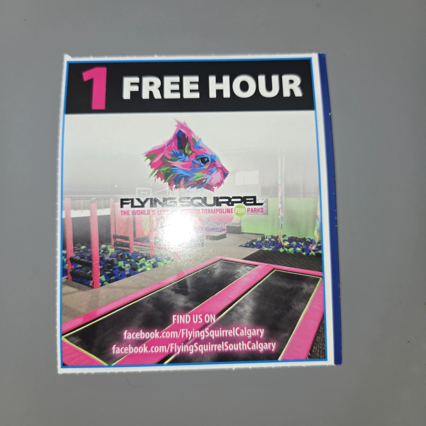 Flying Squirrel 1 Hour Free Pass