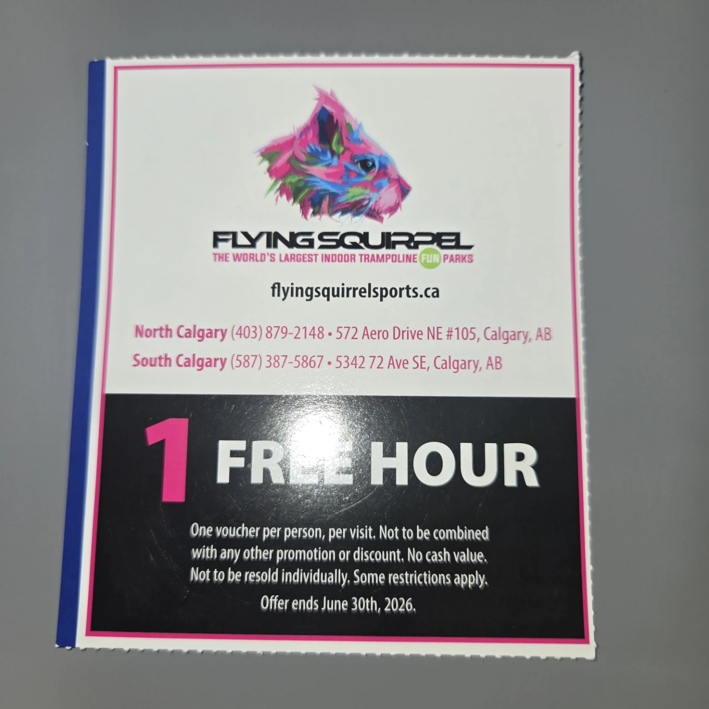 Flying Squirrel 1 Hour Free Pass - photo 2