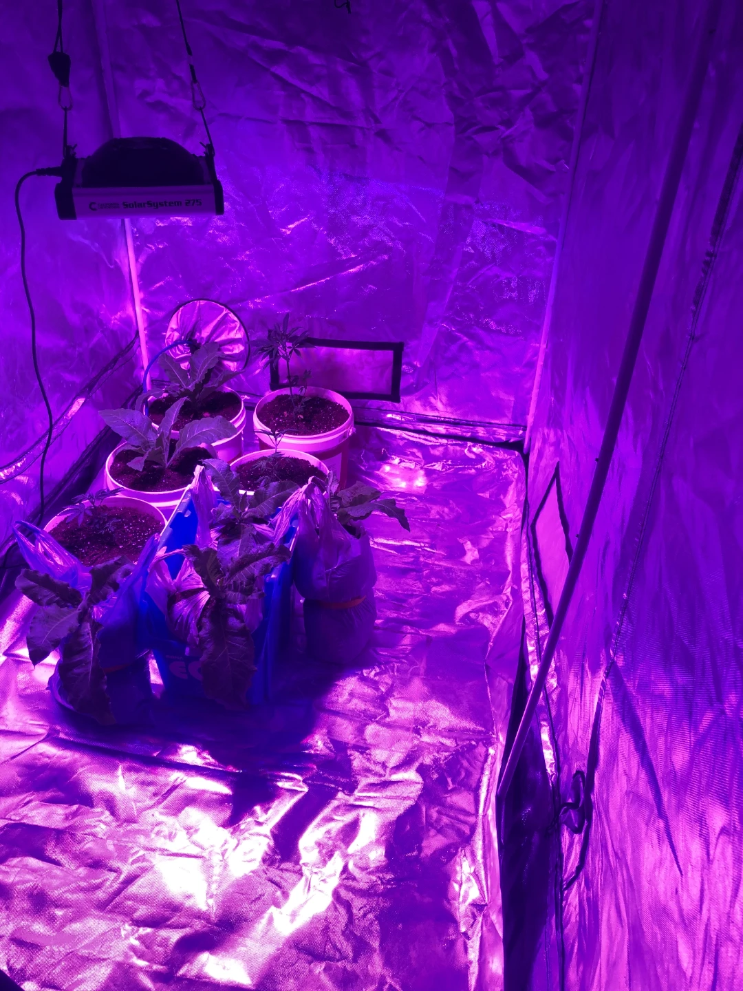 Very large grow tent with lots of accessories - photo 2