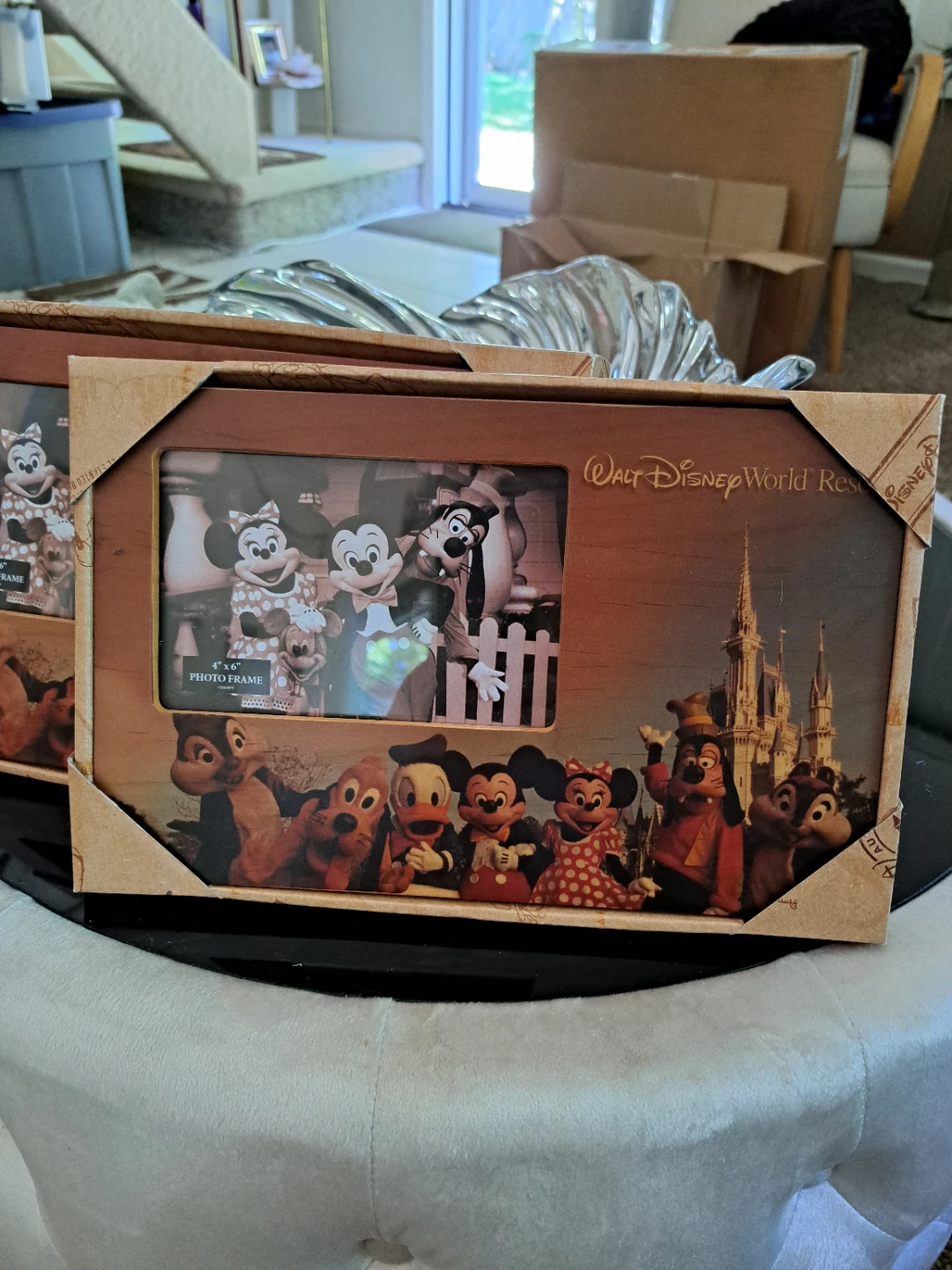 Walt Disney World Resort Photo Frame
