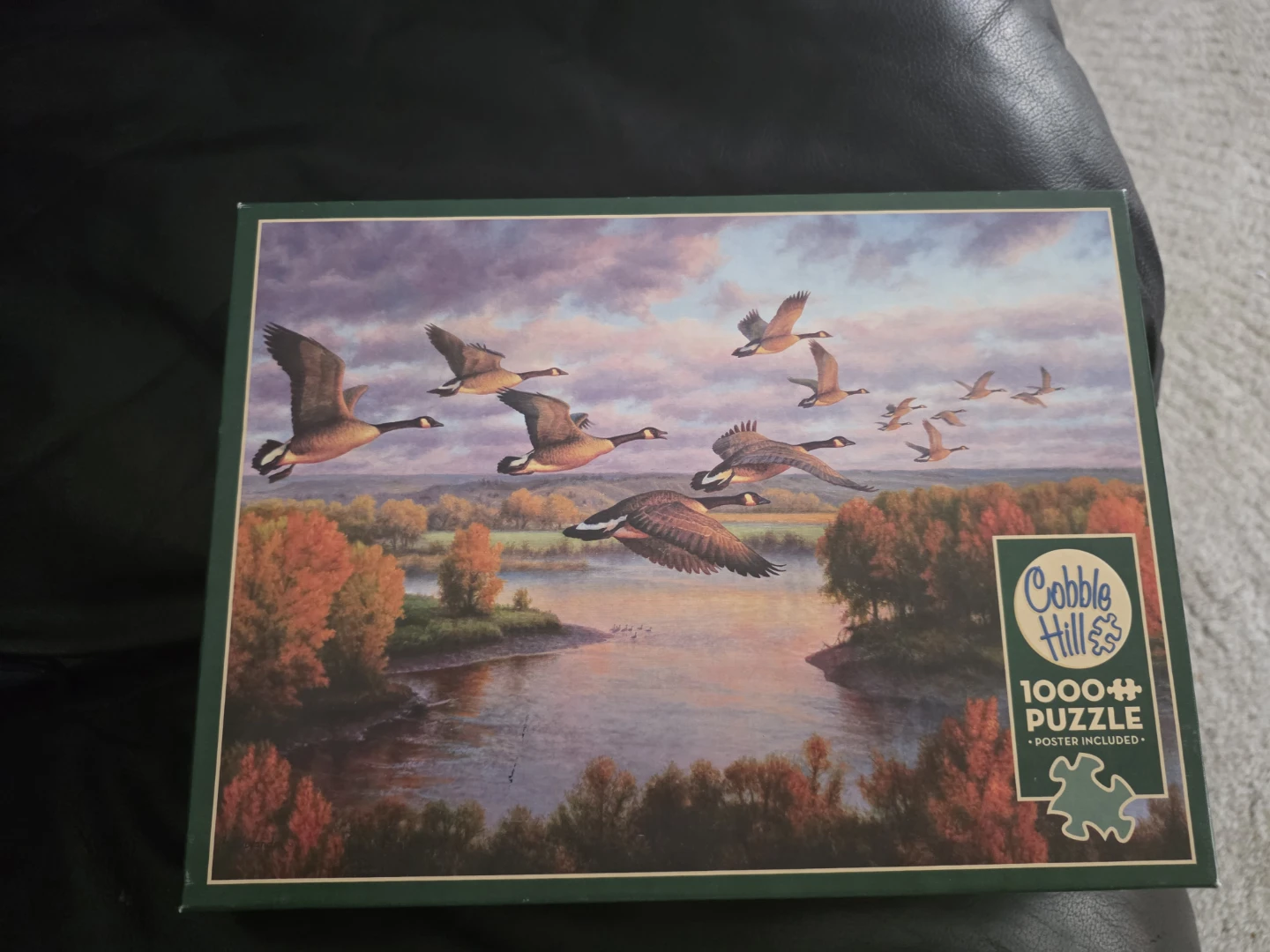 Cobble Hill 1000 Piece Puzzle - Geese in Flight - photo 2