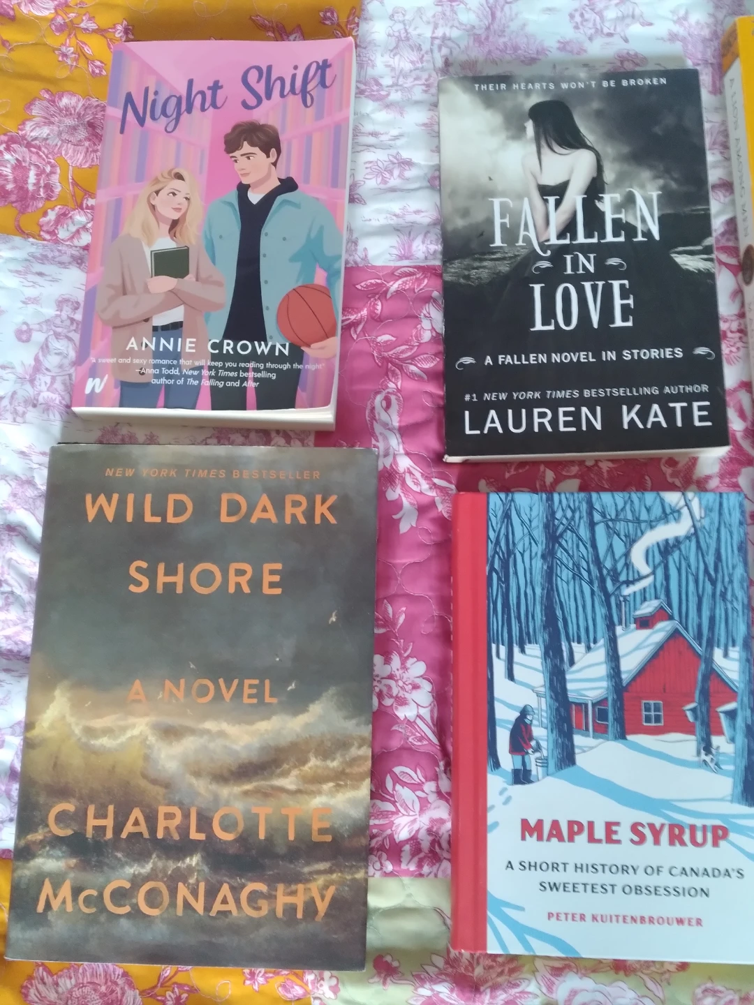 Chapters Book collection - photo 3