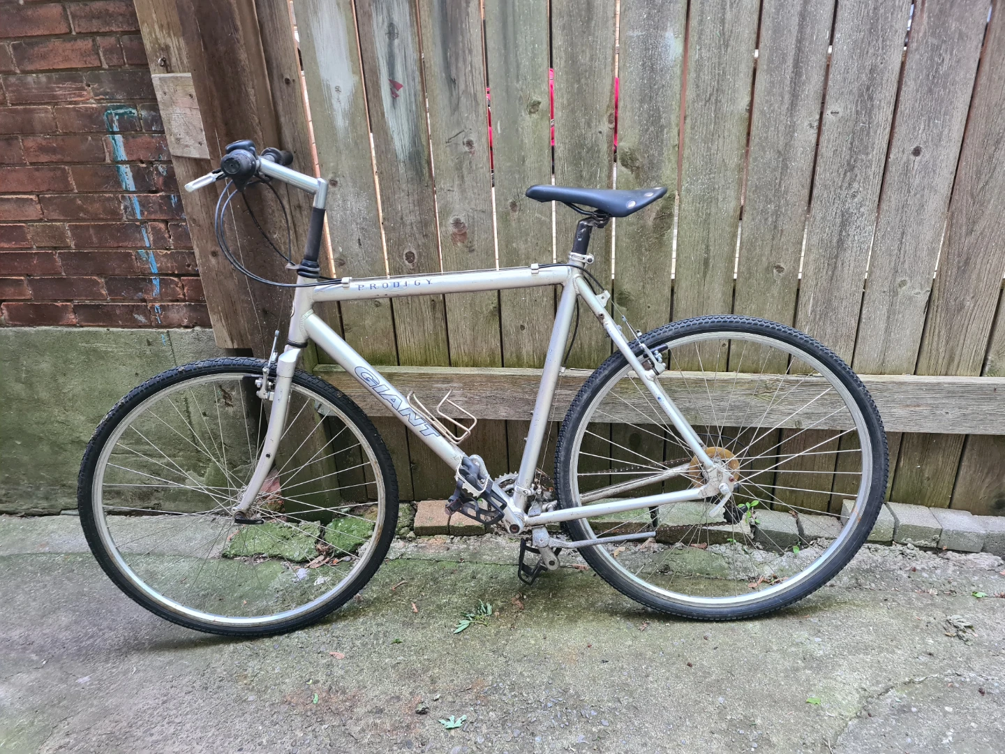 Giant Prodigy Hybrid Bike