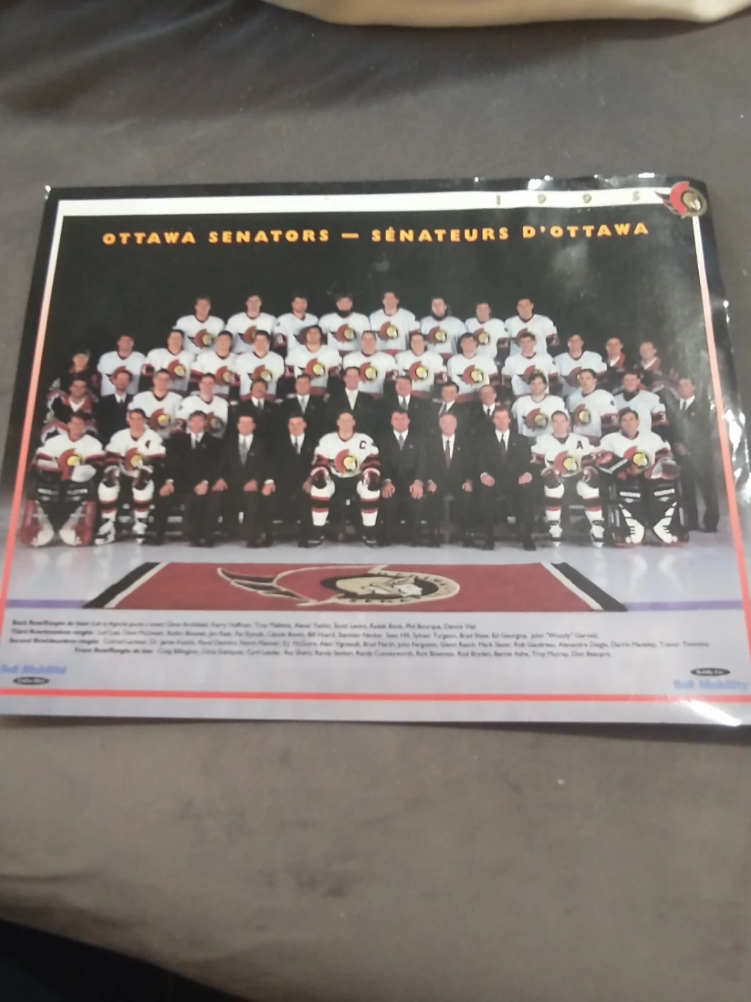 1995 NHL Ottawa Senators Team Picture