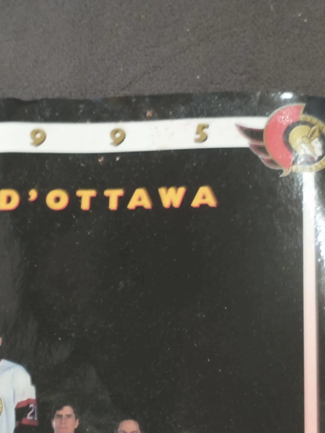 1995 NHL Ottawa Senators Team Picture - photo 4