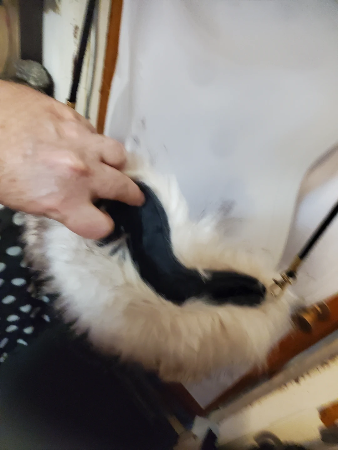 Faux Fur Clutch Purse - photo 4
