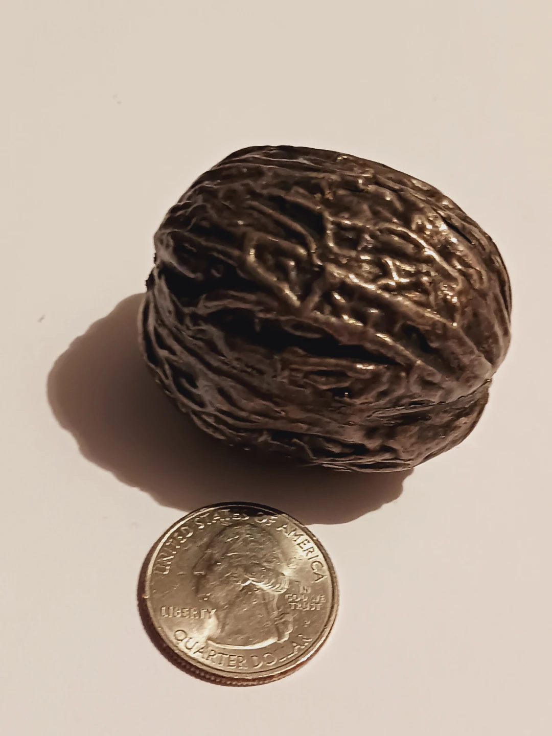 Sterling Silver 925 Walnut Figurine - photo 2