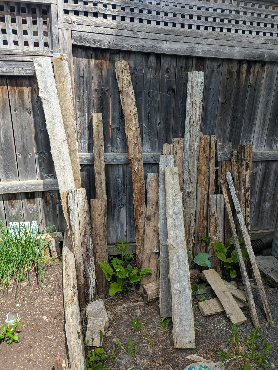 Weathered cedar boards