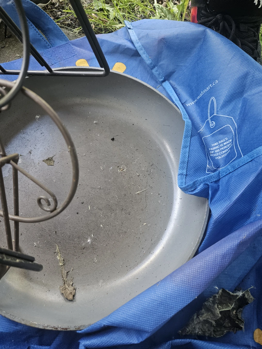 Metal Frying Pan