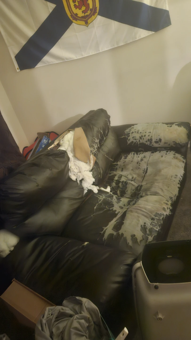 Couch