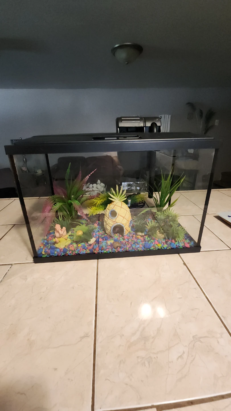 Aqueon PRO Glass Aquarium 5.5 Gallon - photo 2