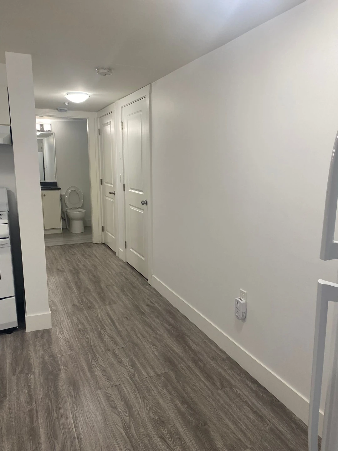 1 large bedroom 1 bath basement suite $1750/month - photo 5