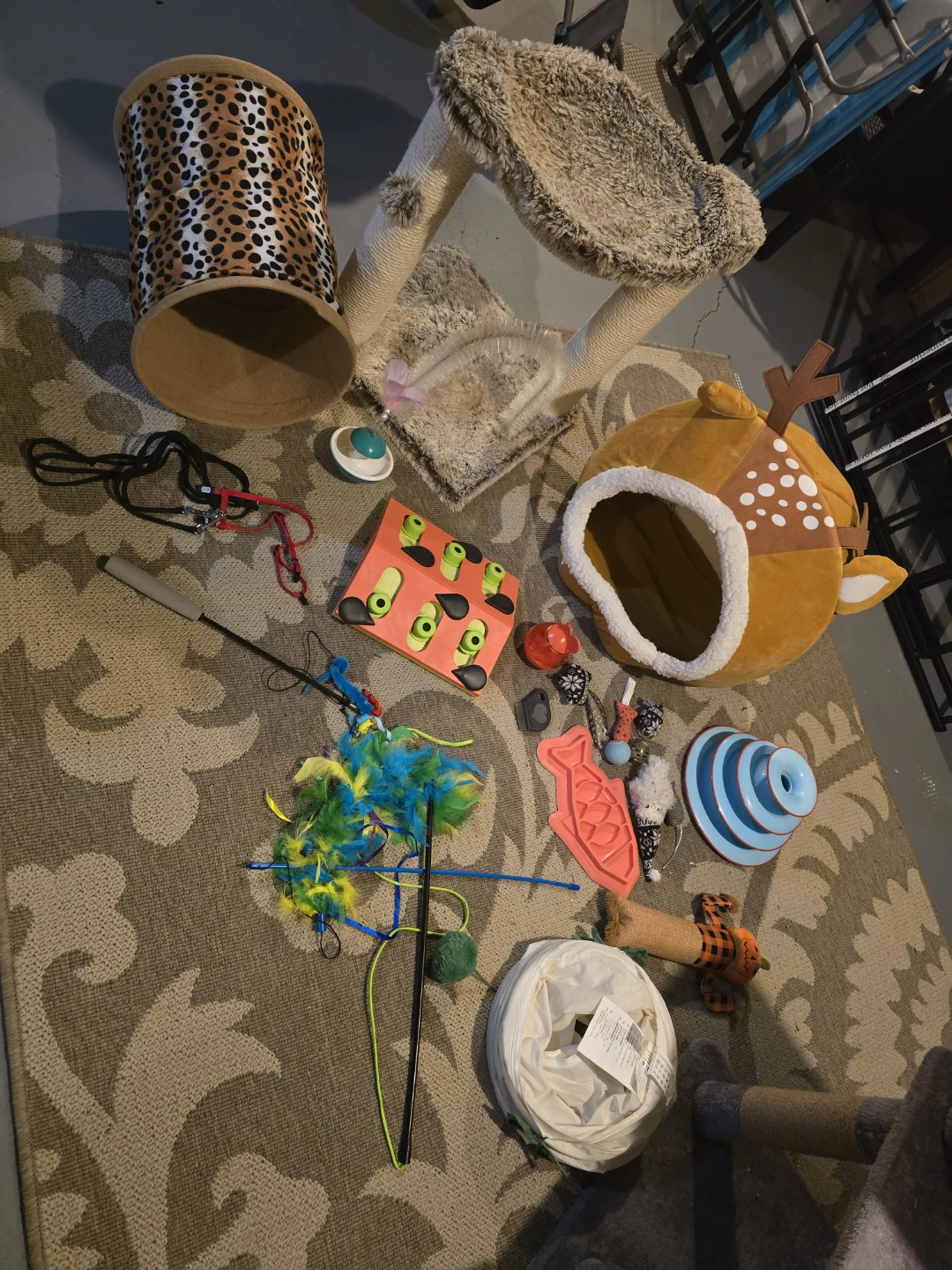 Cat Trees and Accessories