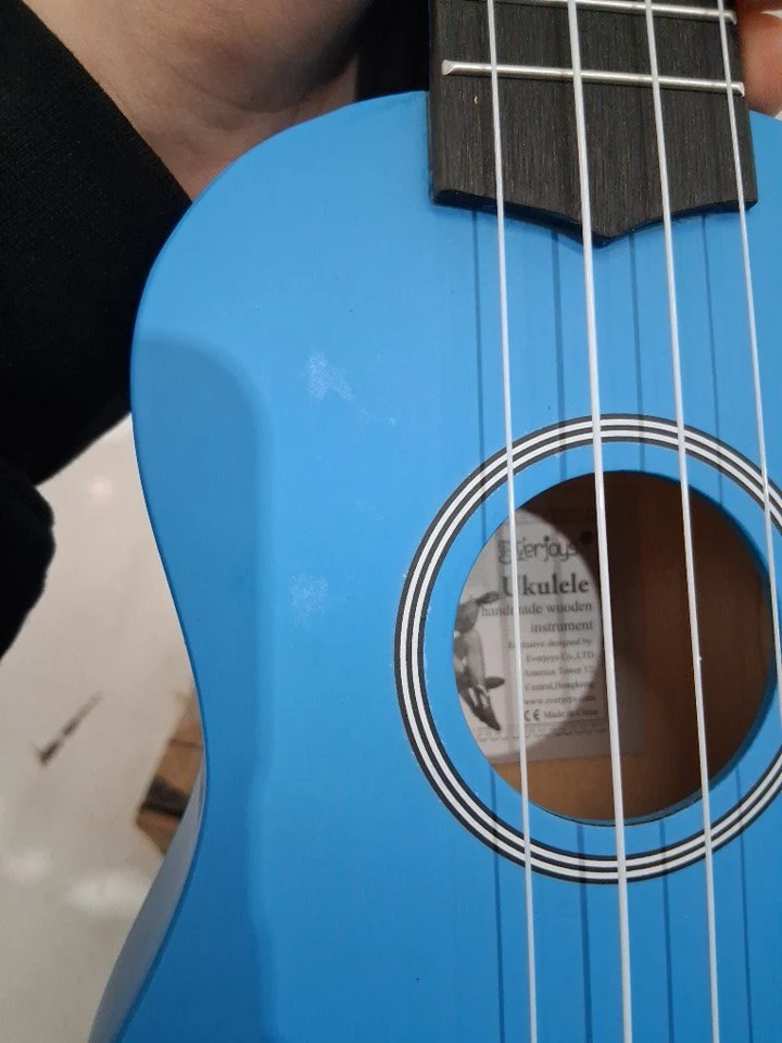 Everjoys Soprano Ukulele Beginner Kit - photo 3