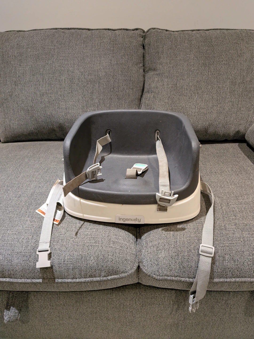 Ingenuity Booster Seat
