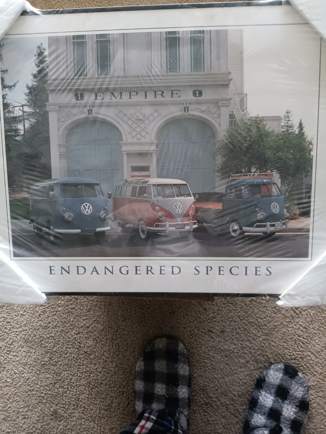 Endangered Species VW Bus Print