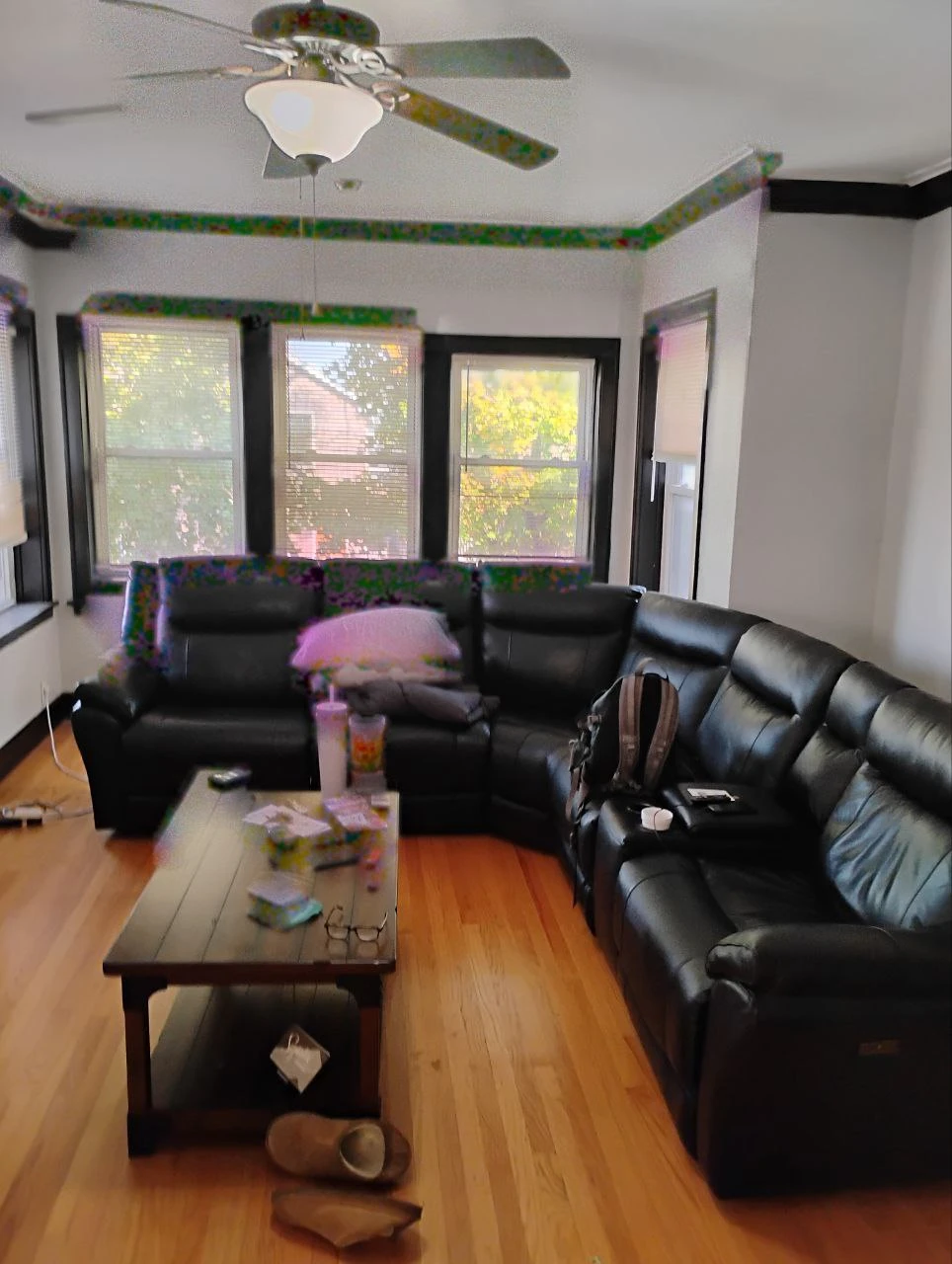Household Furniture Everything in the house