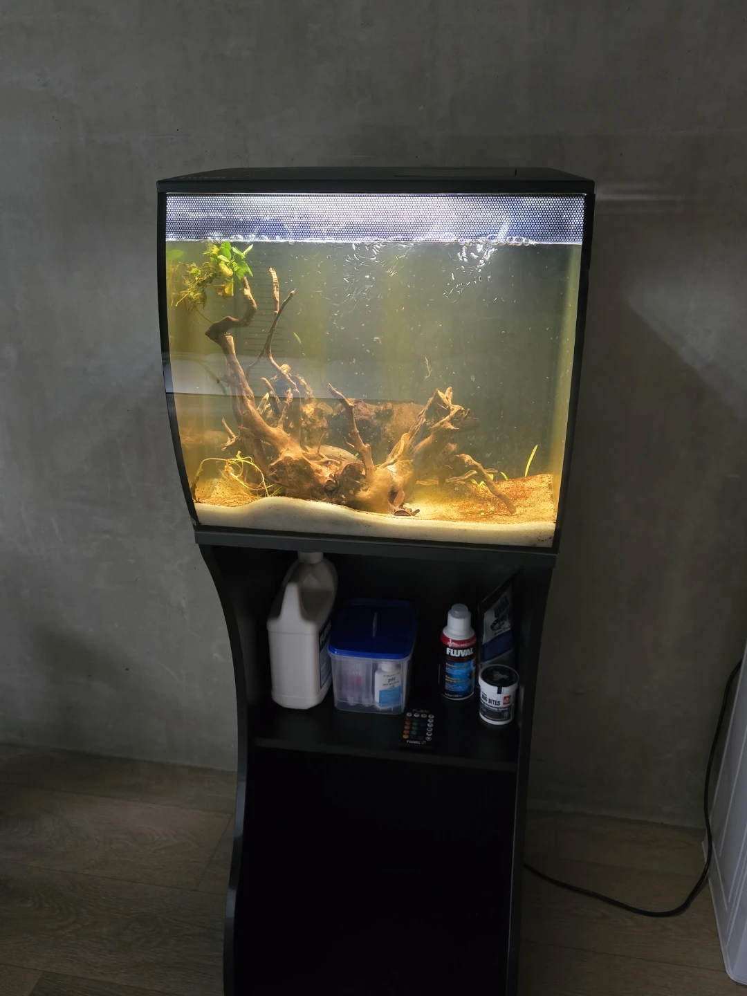 Fluval Flex 15 Fish tank, stand and Accessories ⚽️