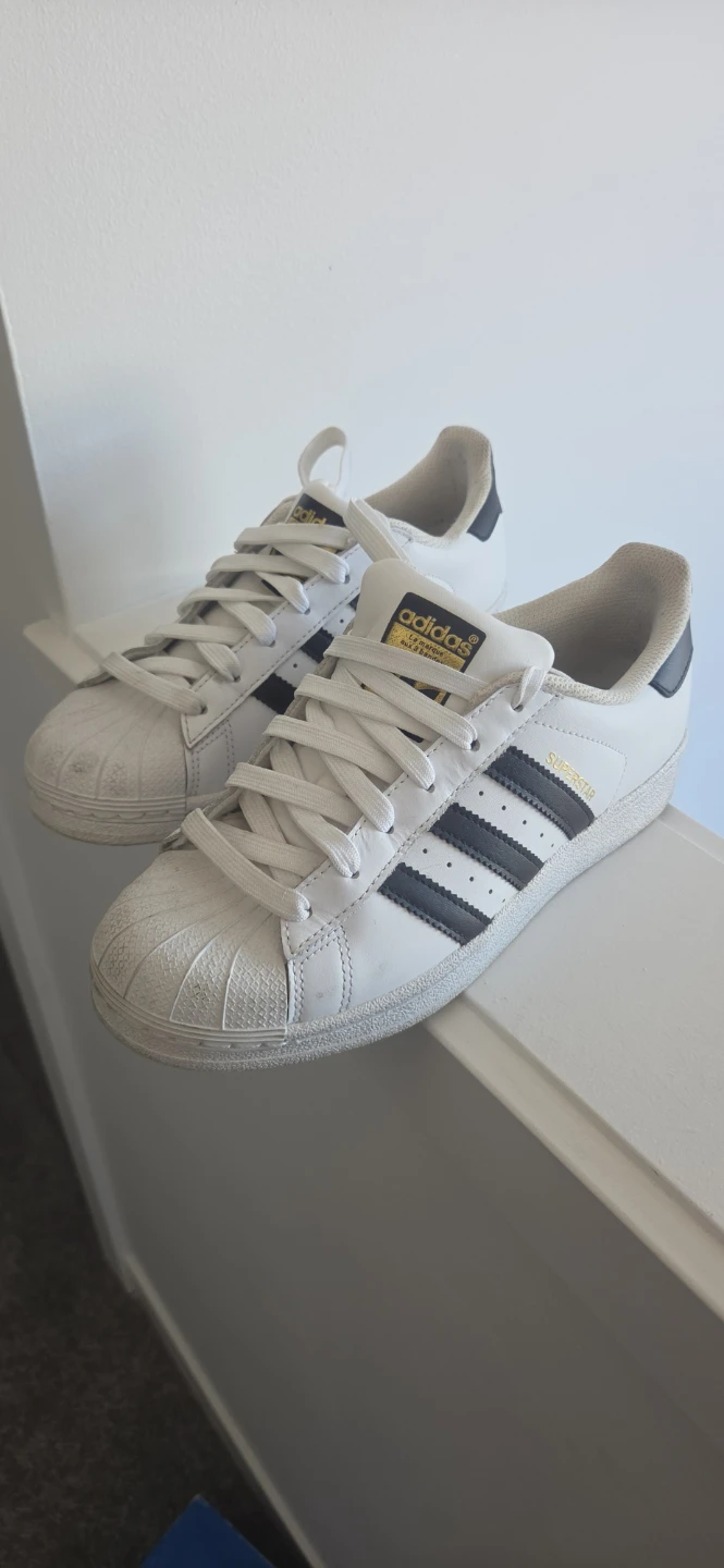 Shell Toe Adidas Sneakers