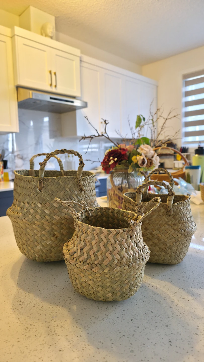 Plant Baskets for sale Set of 3 Woven Seagrass Baskets