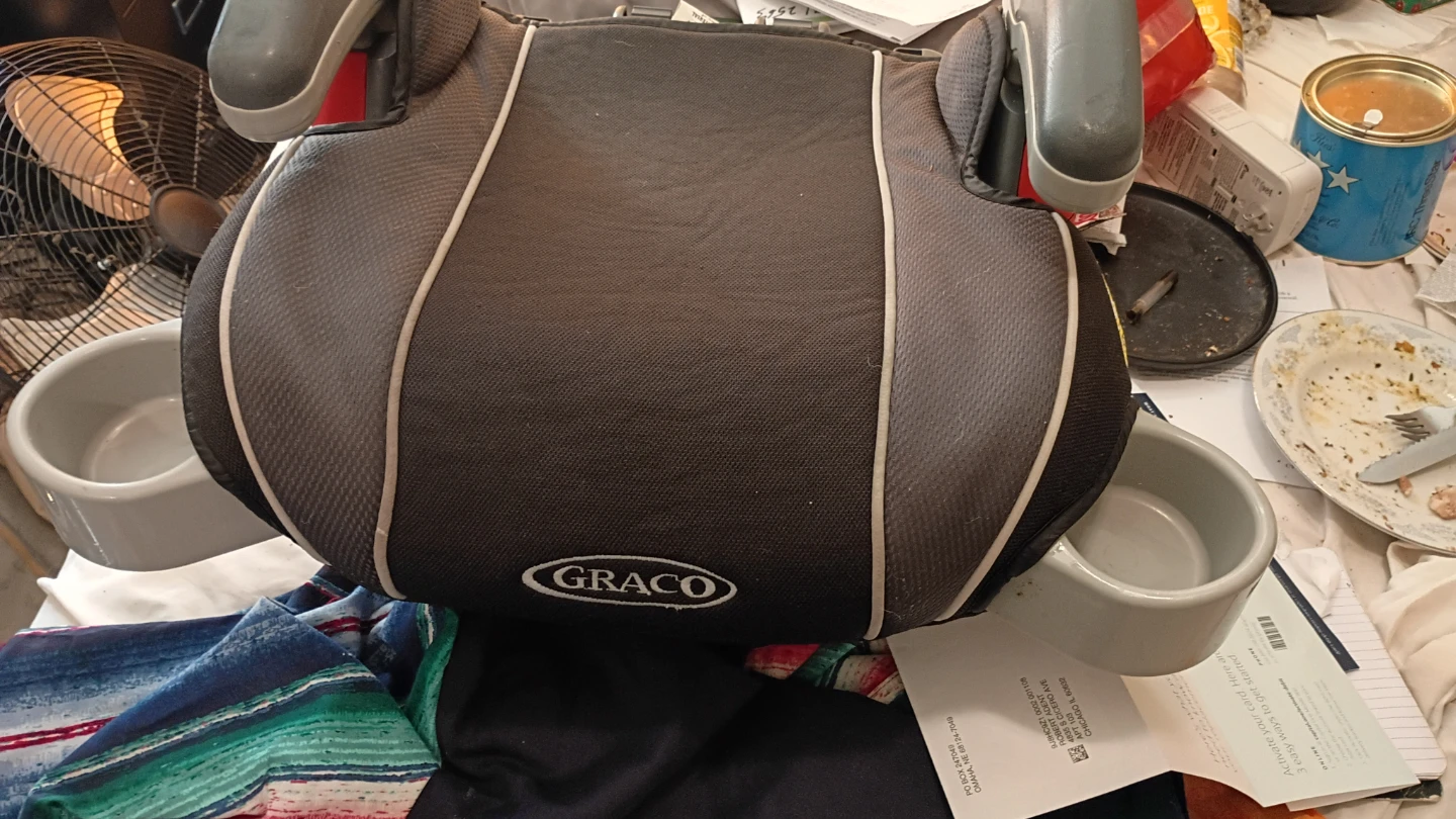 Graco Booster Car Seat