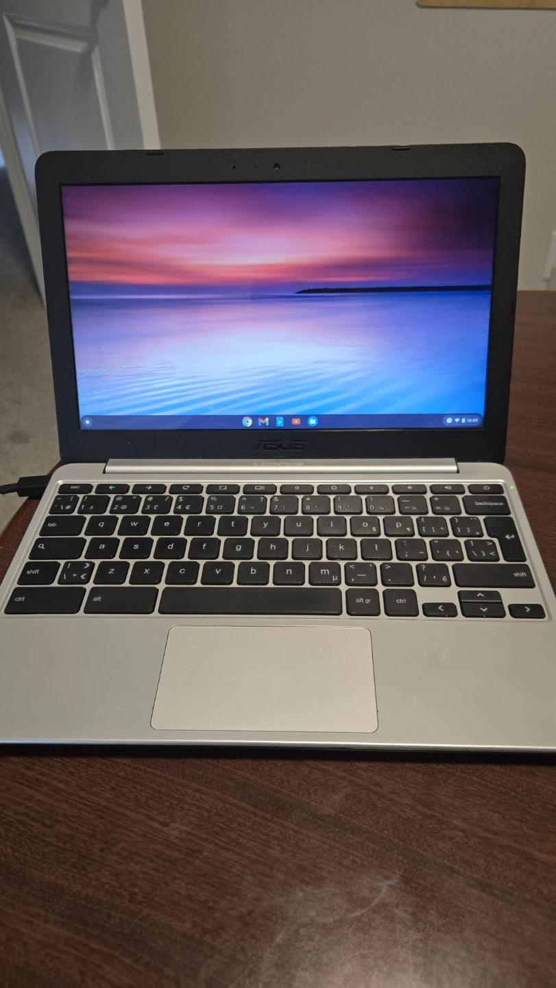 ASUS Chromebook C201P Notebook PC - photo 4