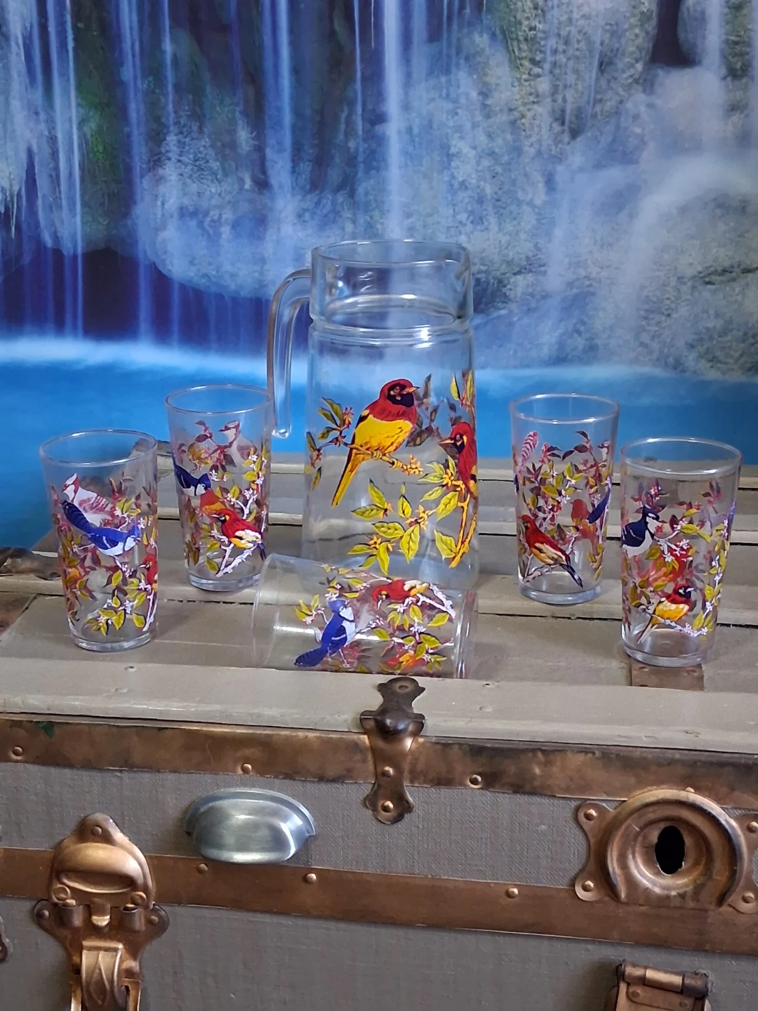 Vintage Arcoroc Pitcher/ 5 Tumbler Set with Bird Design - photo 2