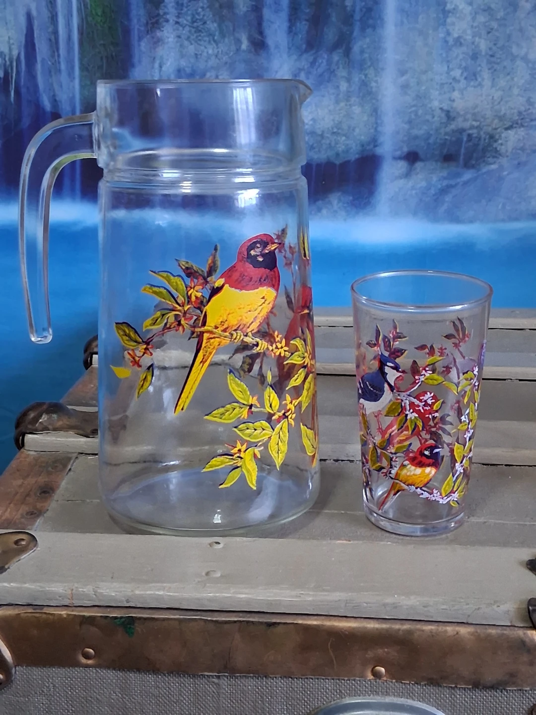 Vintage Arcoroc Pitcher/ 5 Tumbler Set with Bird Design - photo 3