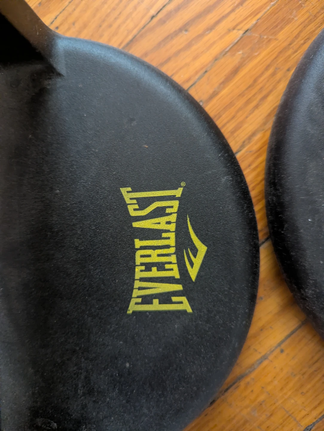 Everlast Push Up Bars