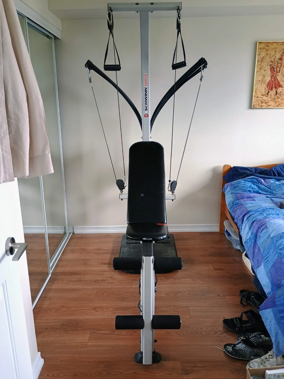 ⚽  💪 Schwinn Force Home 'Bowflex' Gym
