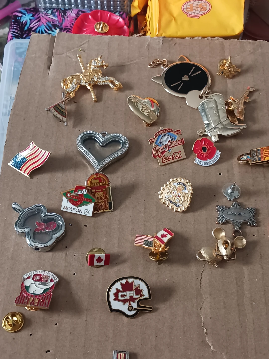 Assorted Lapel Pins