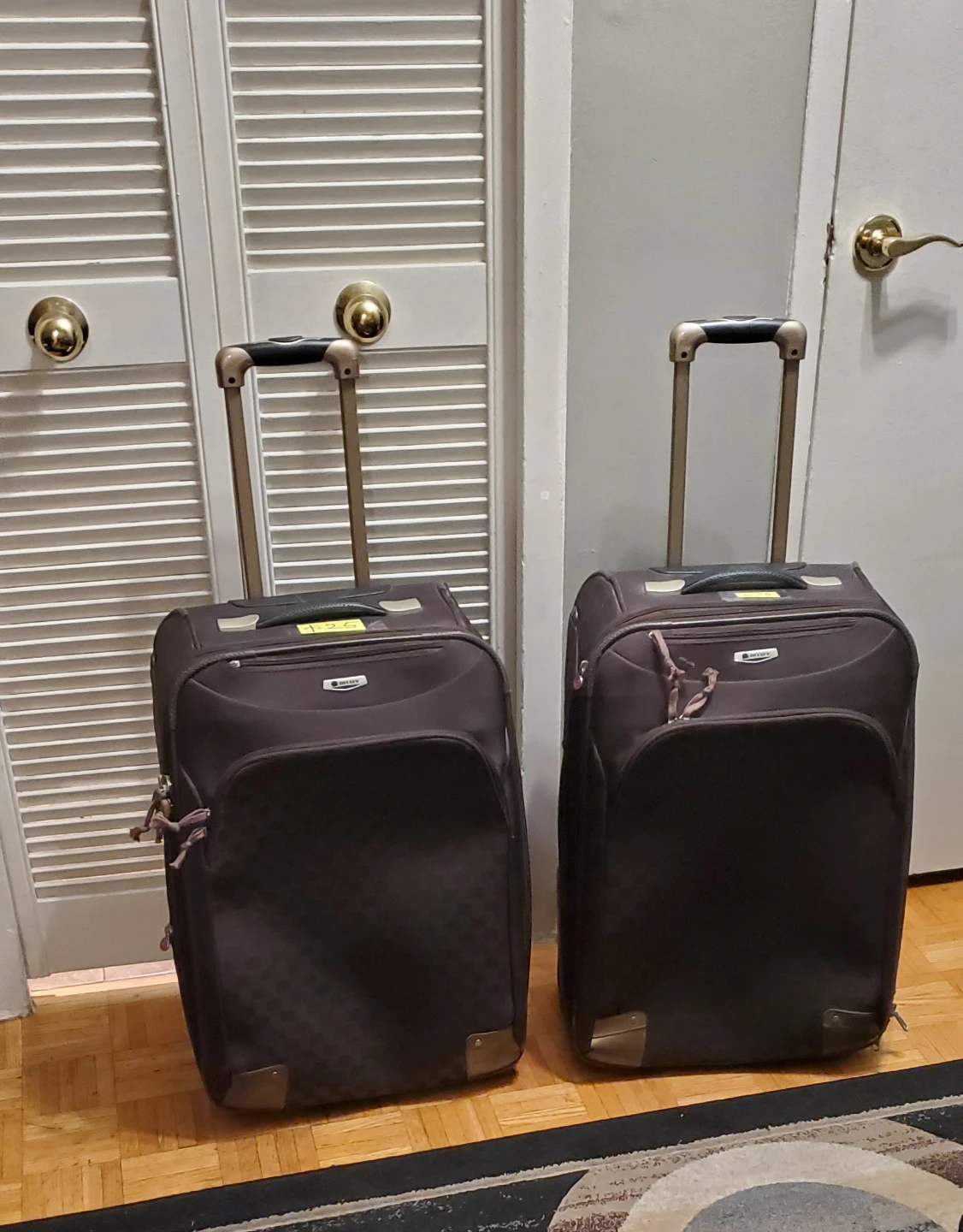 Delsey  2 Big Travel Luggage