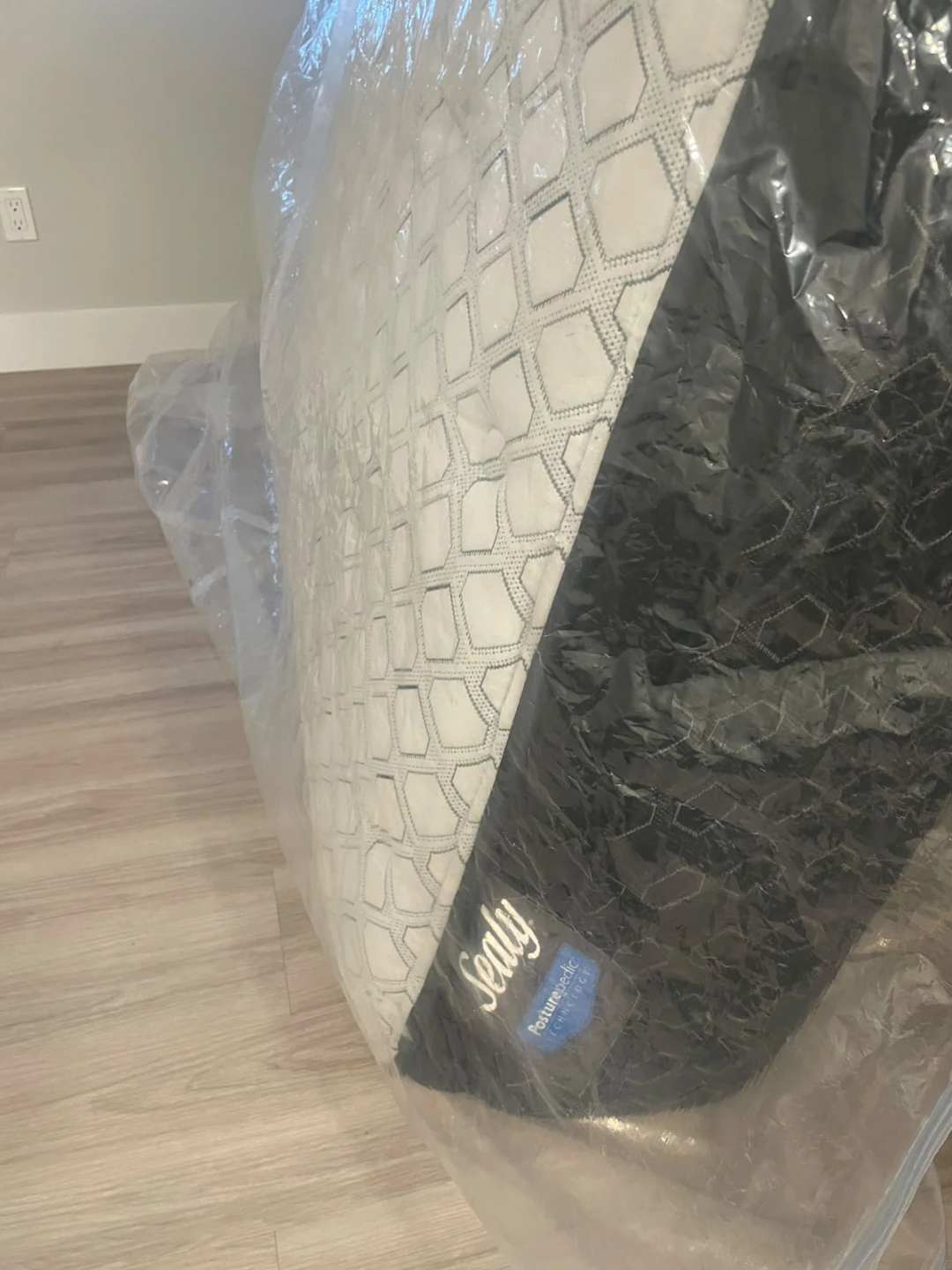 Sealy Mattress