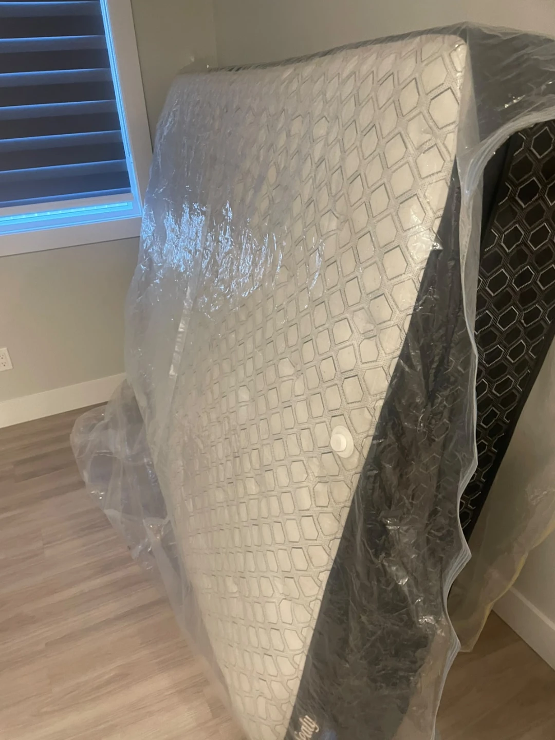 Sealy Mattress - photo 2