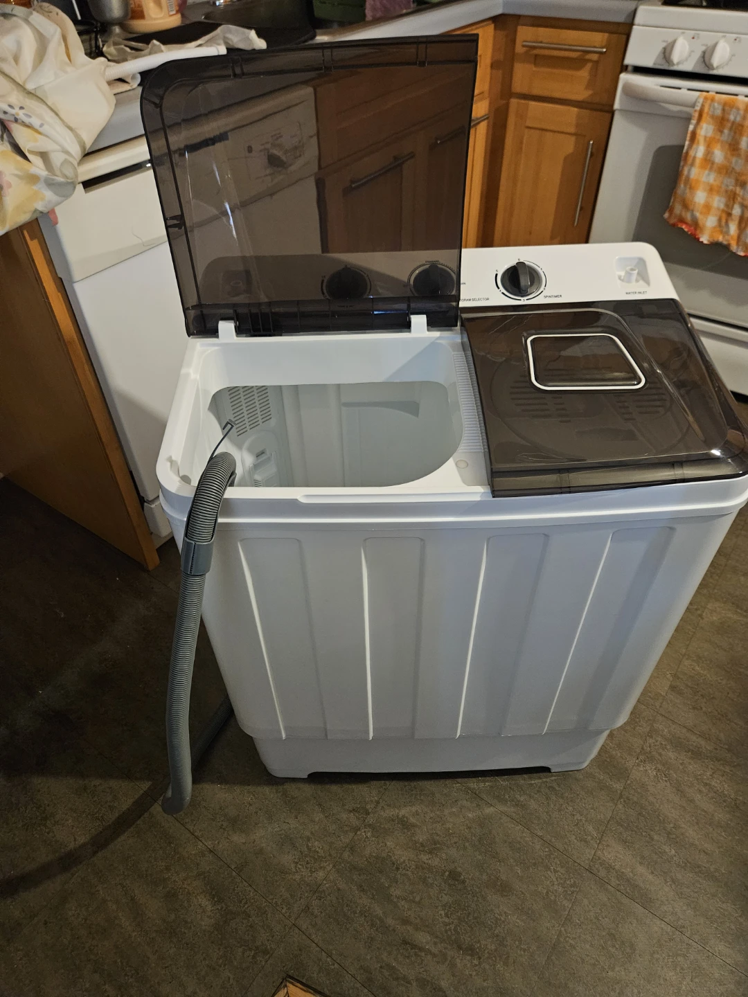 Portable electric washer