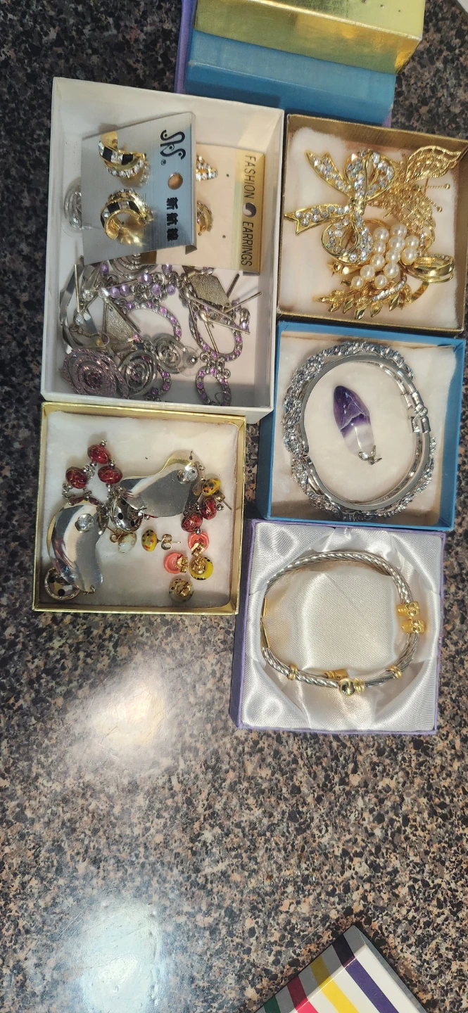 Assorted Costume Jewelry Set