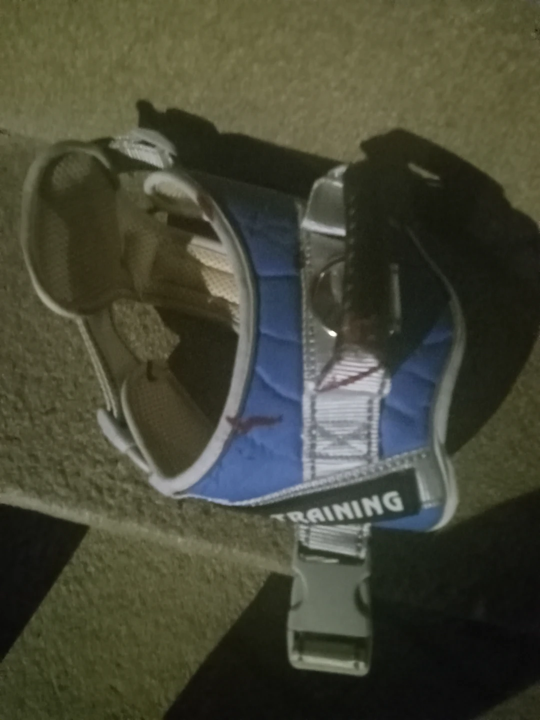 Blue Dog Training Harness