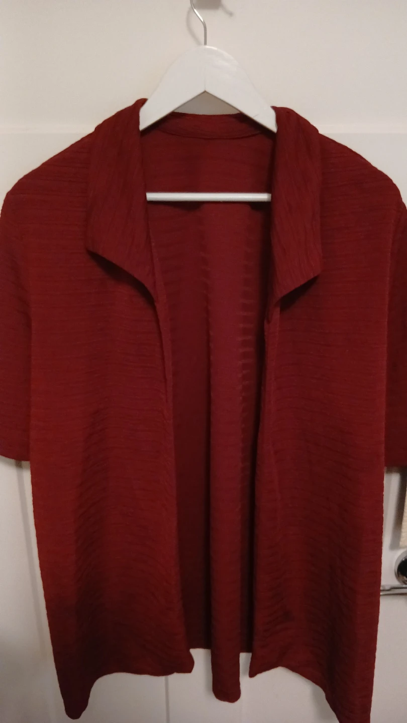 Maroon Textured Short-Sleeve Shirt