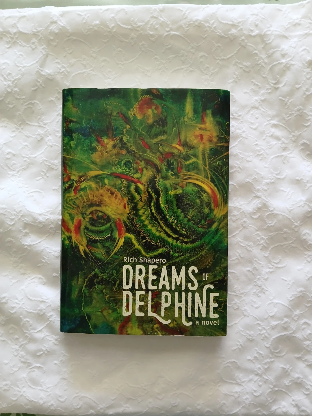 Dreams of Delphine Novel by Rich Shapero ⚽
