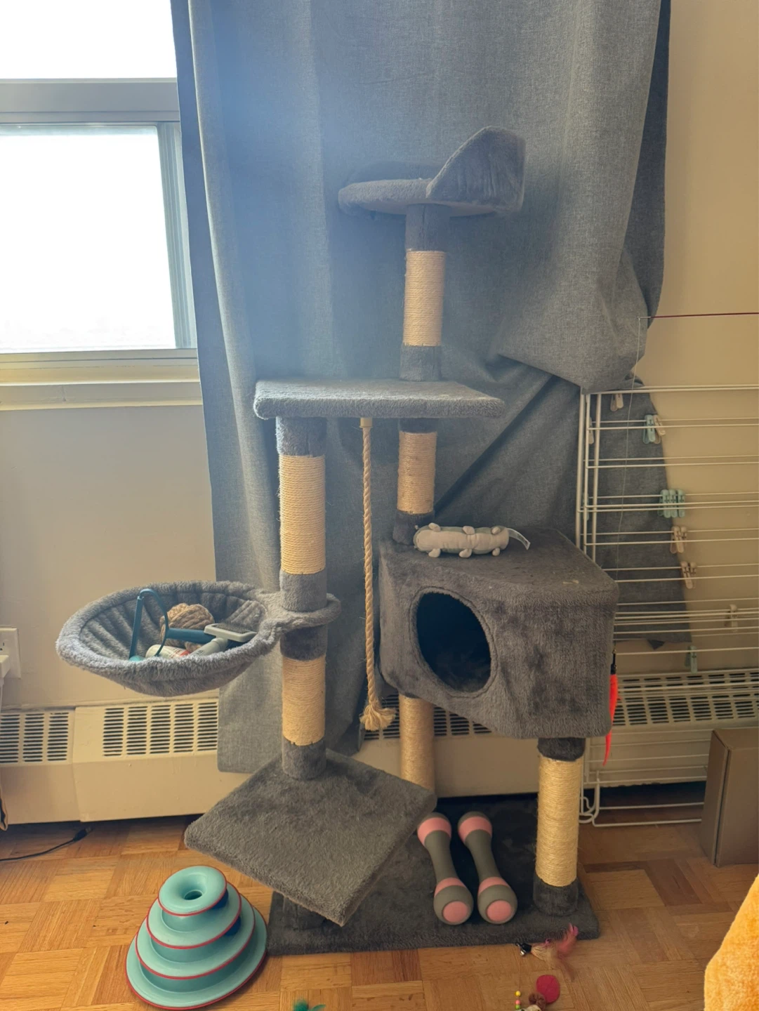 Multi-Level Cat Tree Condo with Hammock