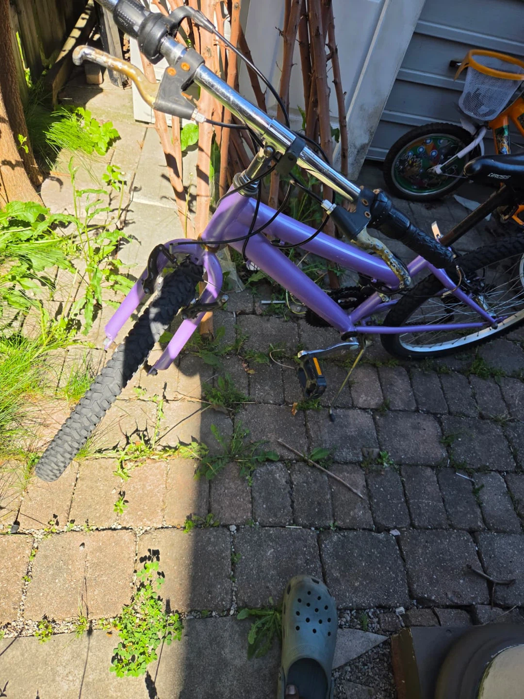 Purple Bicycle