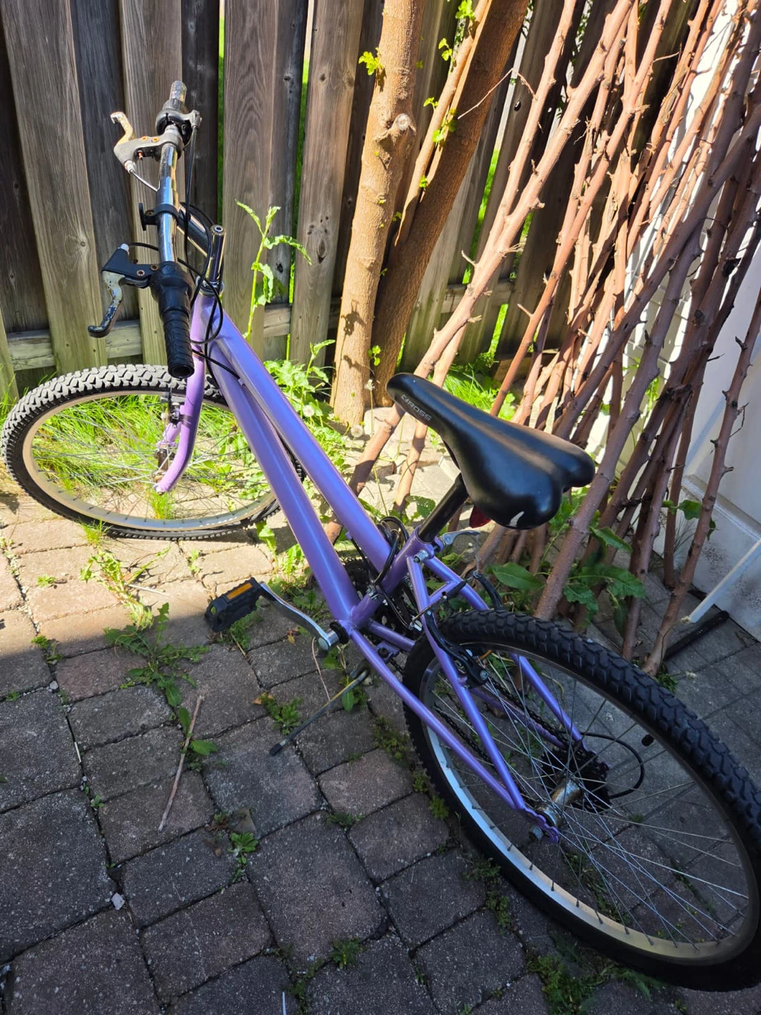 Purple Bicycle - photo 2